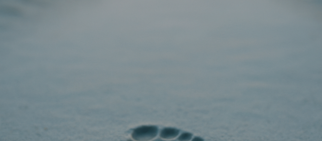 Just One Step: The Decision That Changed Everything